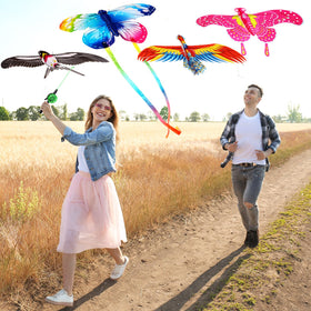Simgoing phoenix kite stands out with high visibility colors and easy launch