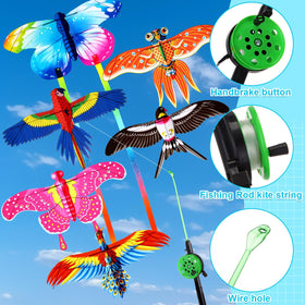 Simgoing swallow kite with easy handling for beginners in parks or beaches