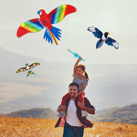 Simgoing parrot kite, bright two-piece design for a joyful family day