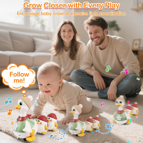 Sinpedex ducklings follow the mama in a playful line to build coordination.