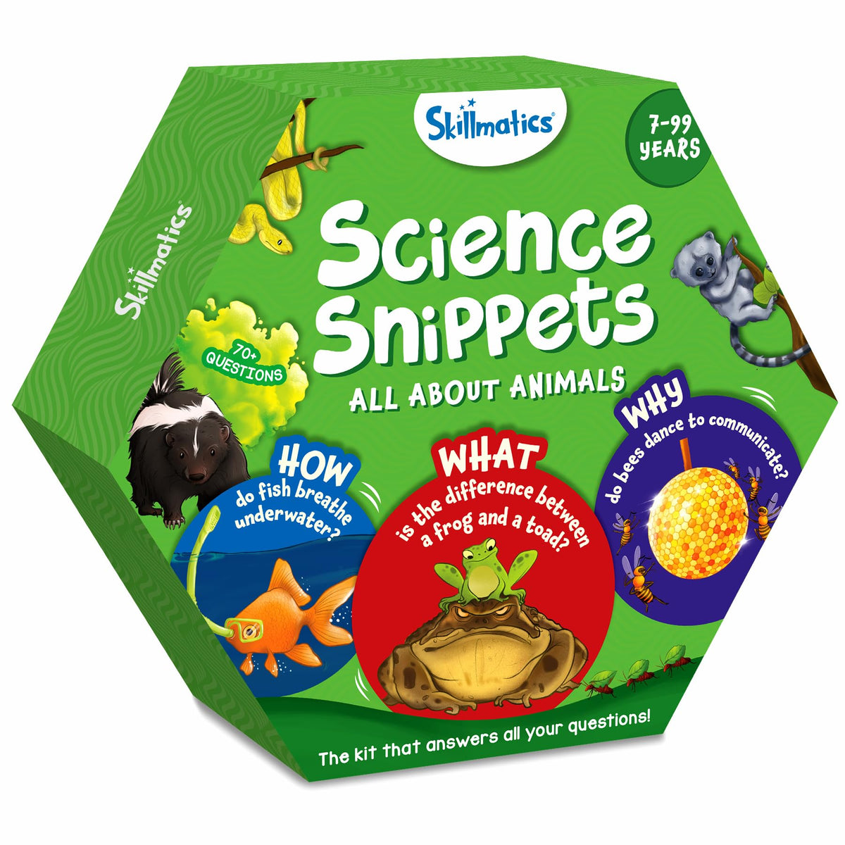 Skillmatics classroom activity prompts curiosity in lessons.