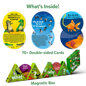 Skillmatics flash cards double-sided for versatile review and discussion.