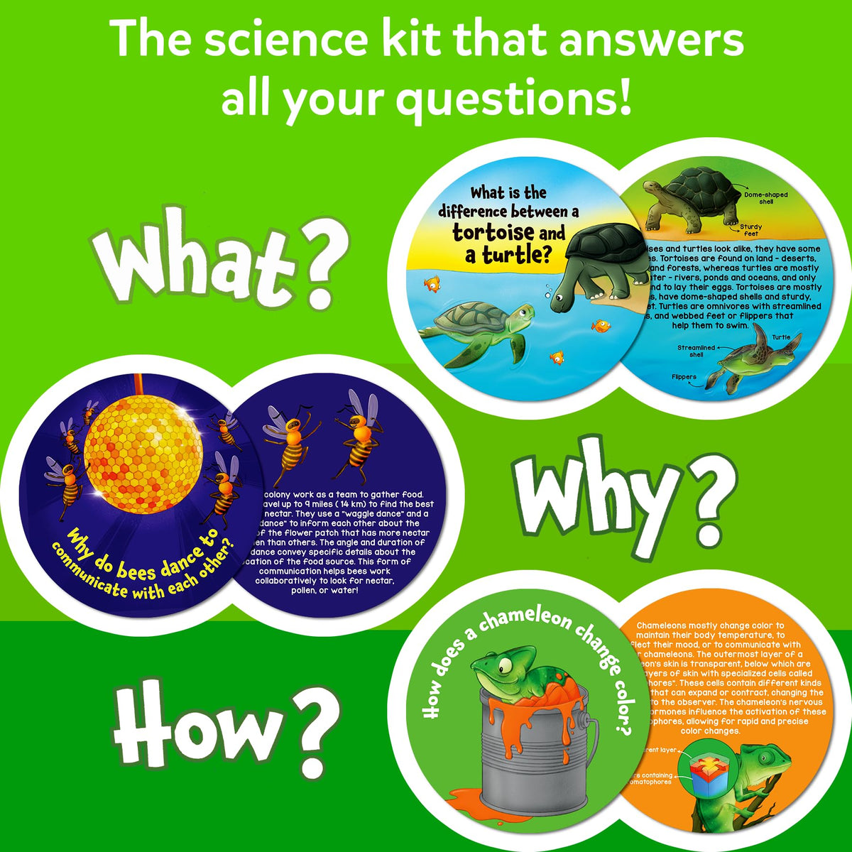 Skillmatics cards on habitats and habits spark observation at home.