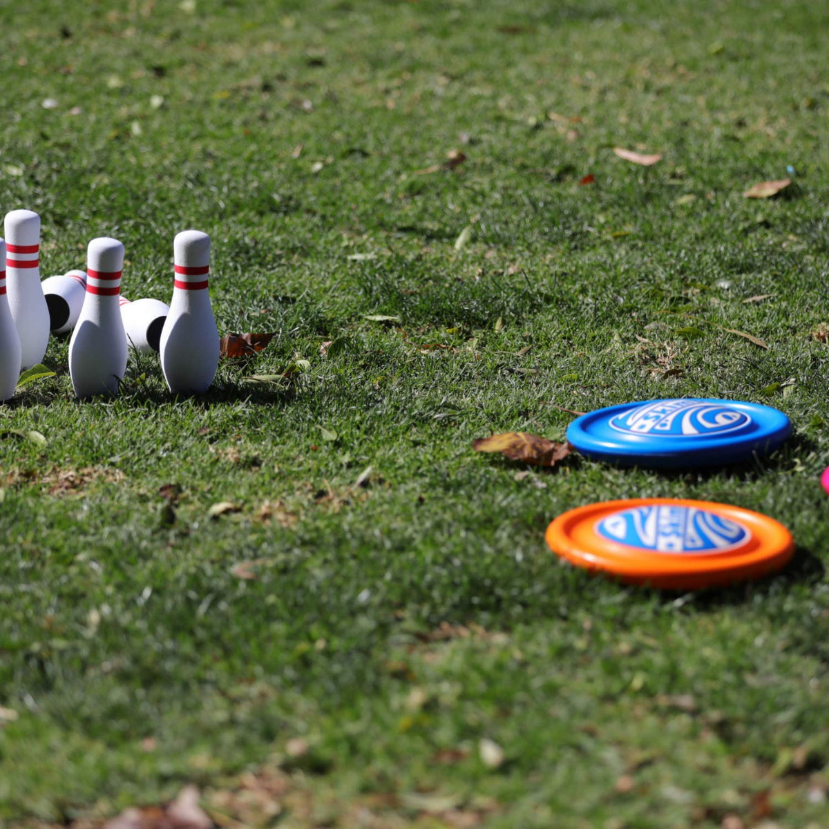 SkimBe Disc Toy at a backyard party for poolside fun and games.