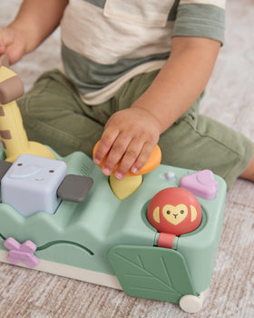 Skip Hop Geometric Wonders musical bird introduces beat and melody for auditory curiosity.