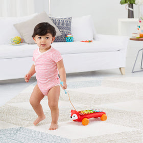 Skip Hop Xylophone Fox attached mallet for on the go tunes