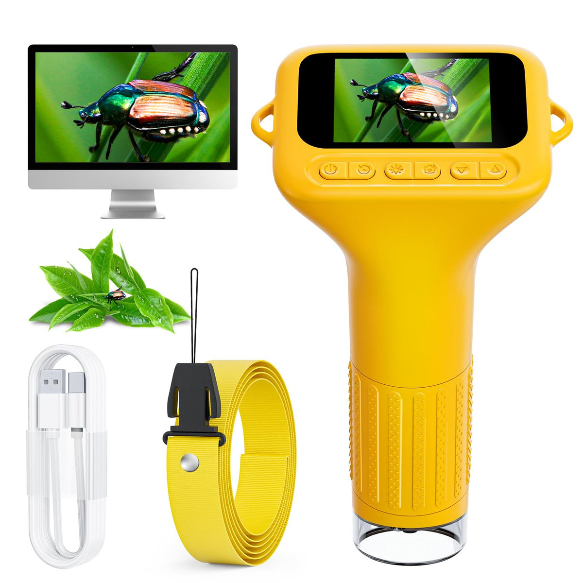 SkyBASIC digital microscope on 2-inch display for kid-friendly viewing