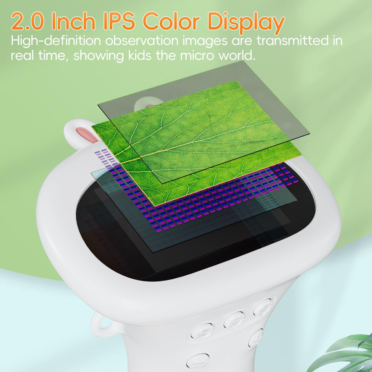 SKYBASIC 8 LED lights reveal fine details for clearer observations