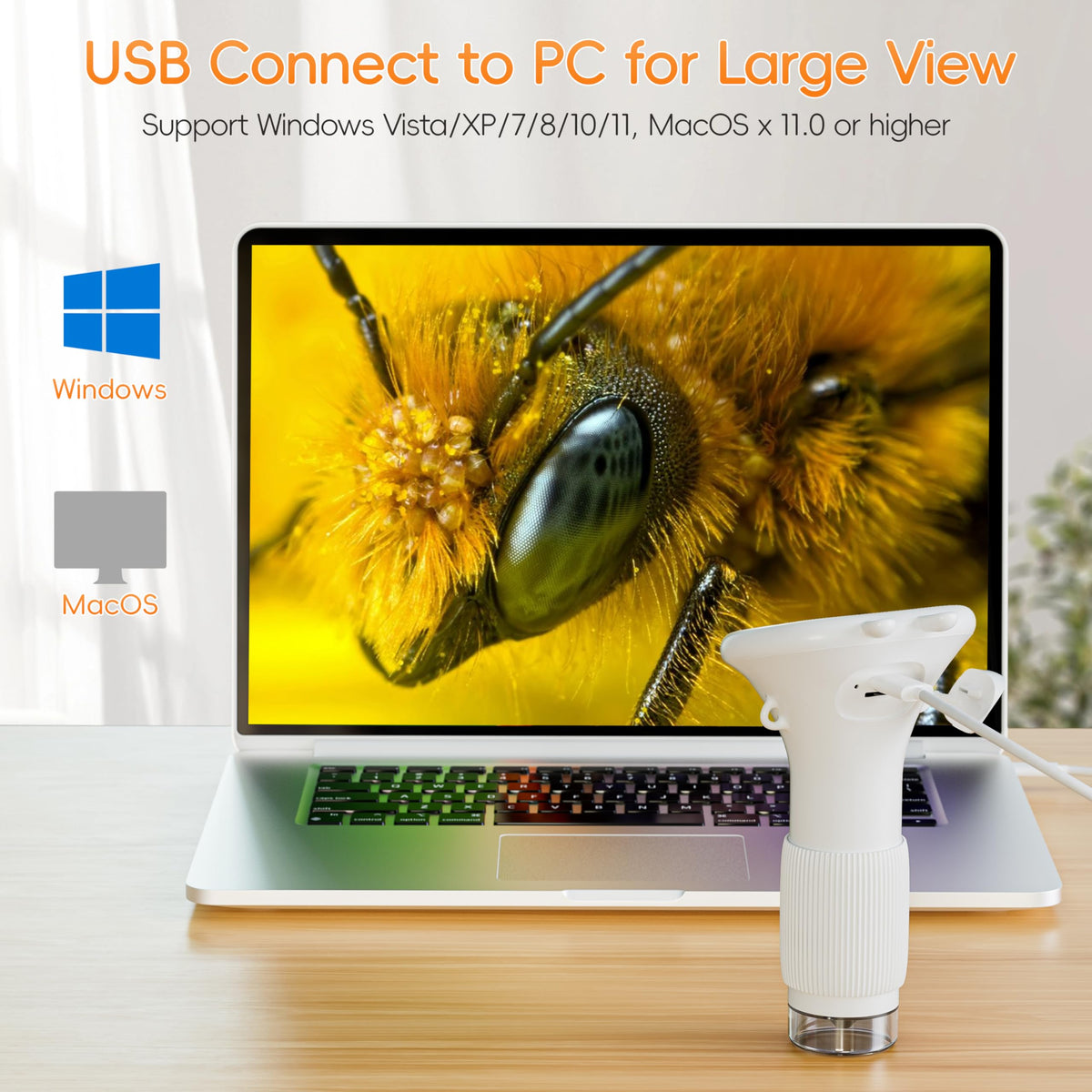 SKYBASIC USB connection enables viewing on a computer