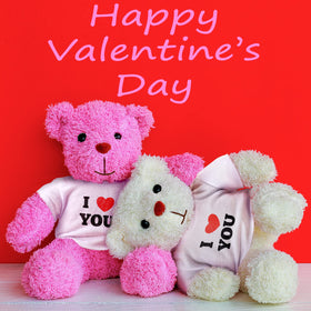 Skylety gift idea bear clothes ideal for birthdays and holidays