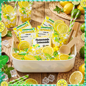 Skylety ice cubes and lemon slices add realistic detail for visual and tactile engagement.