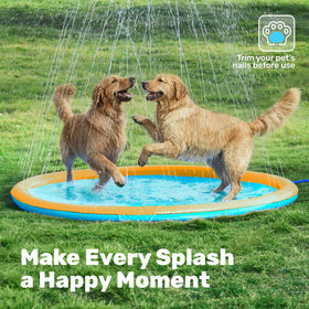 Sloosh safe shallow-water surface supports confident stepping and splashing.