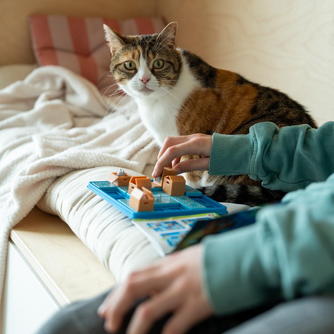 SmartGames Cats and Boxes classroom play fosters teamwork and logic.