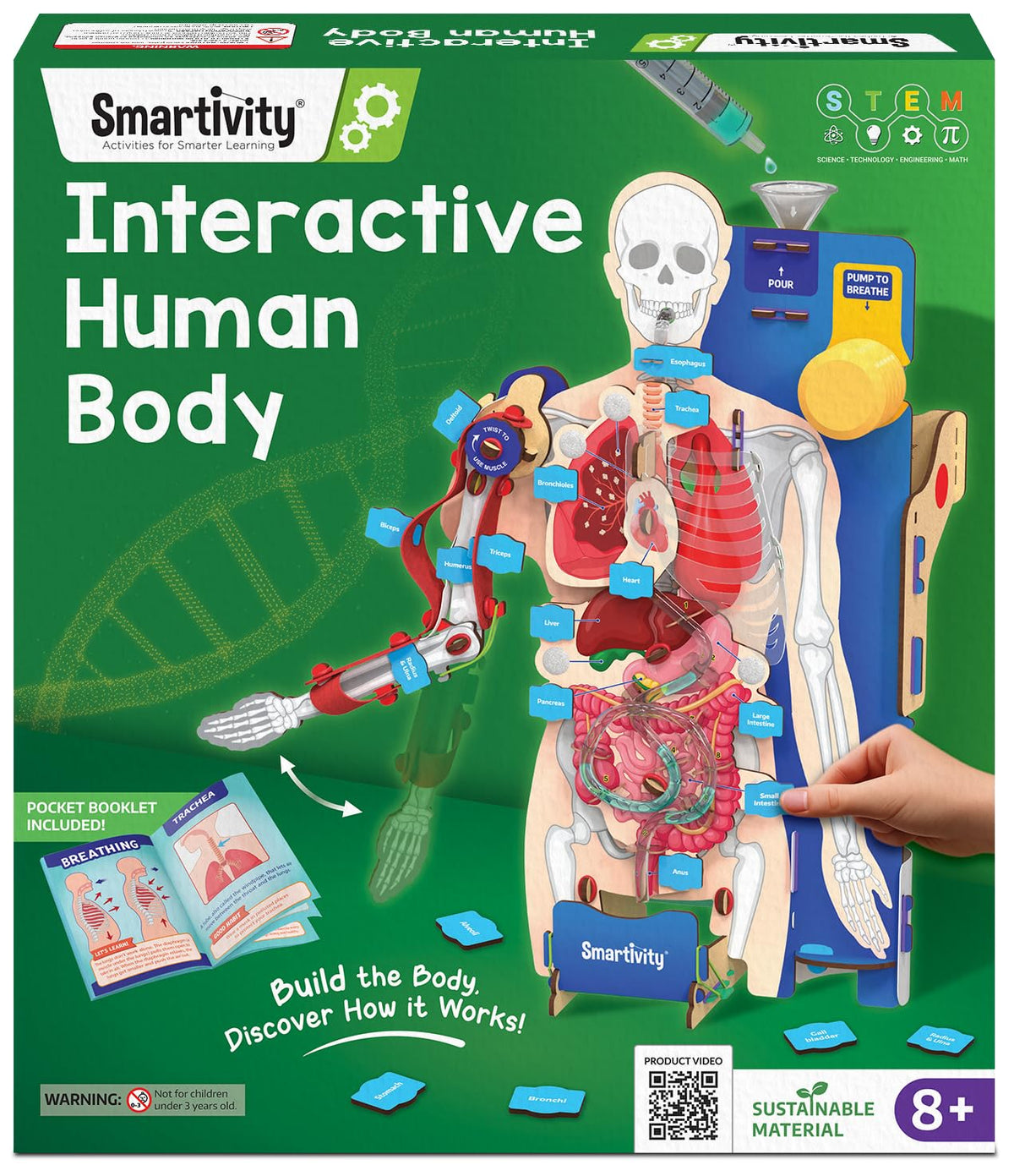 Smartivity interactive body model with inflatable lungs for tactile science exploration.