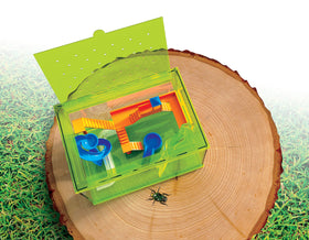 SmartLab Bug Playground climbing wall encourages bug movement observation during play