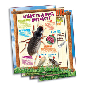 SmartLab Bug Playground curly slide offers dynamic routes for critter interactions