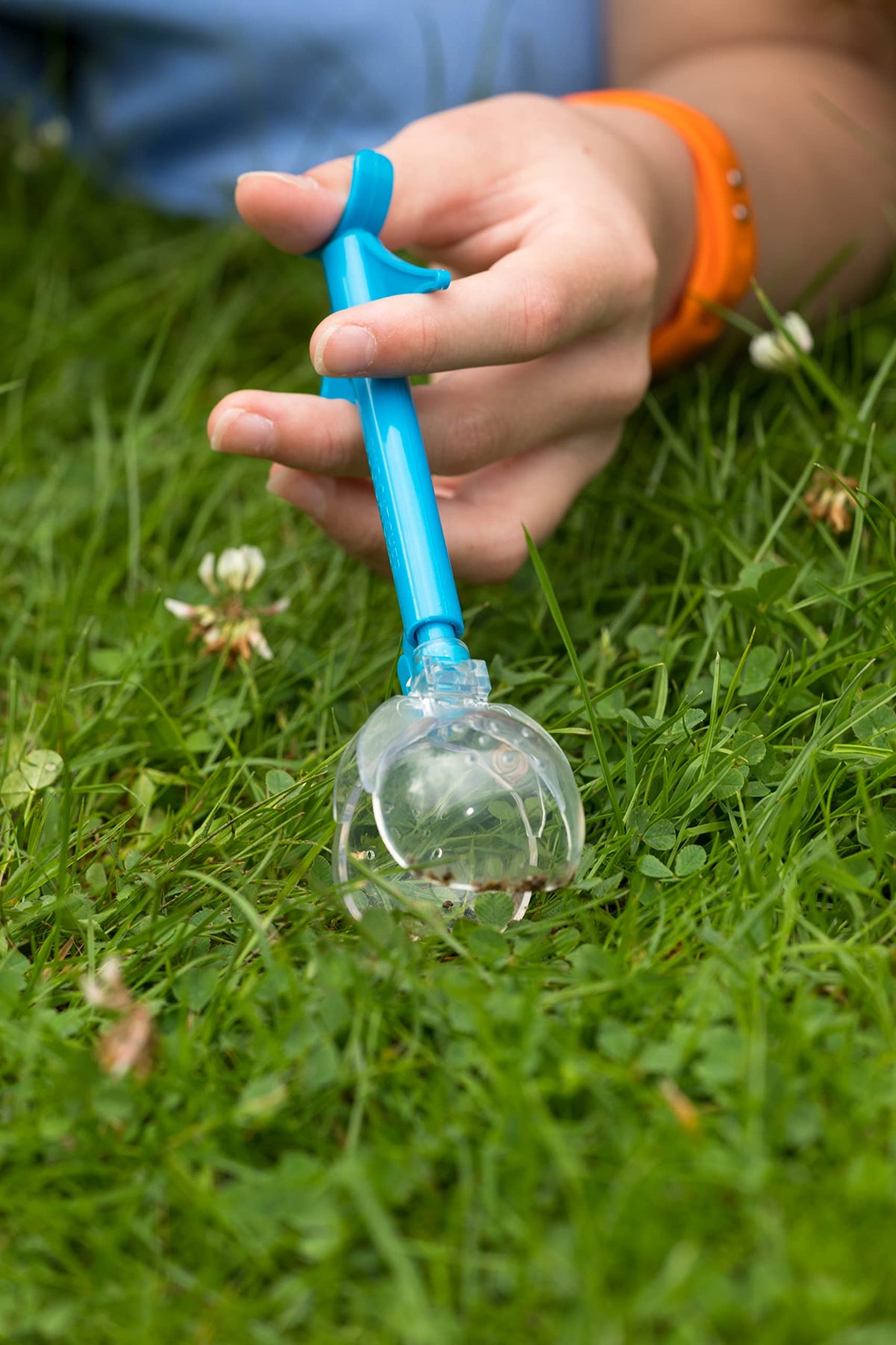 SmartLab Bug Playground pool encourages observation of aquatic style bug movement