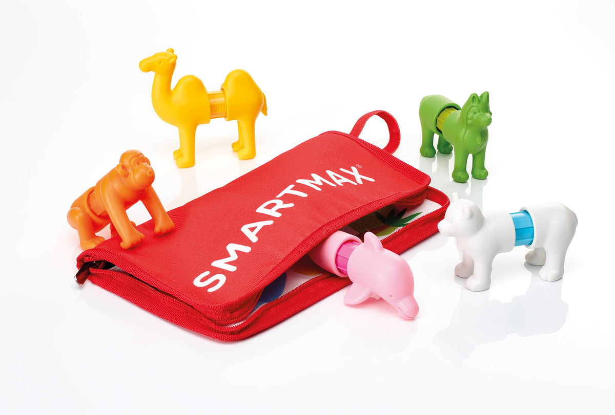 Durable magnets and kid-safe materials for lasting use.