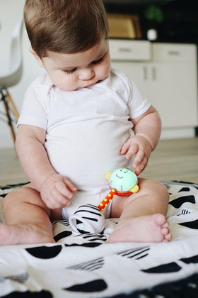 SmartNoggin NogginStik includes an illustrated milestones guide for caregivers