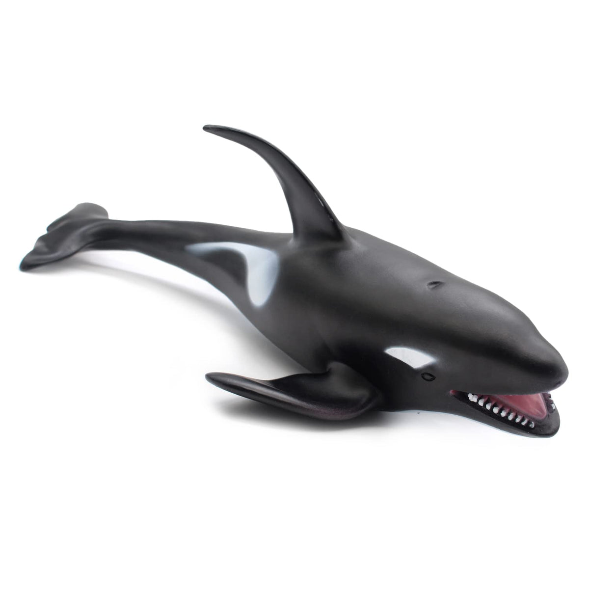 SmilerSmile educational ocean life toy for learning and curiosity
