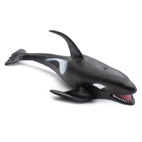 SmilerSmile educational ocean life toy for learning and curiosity