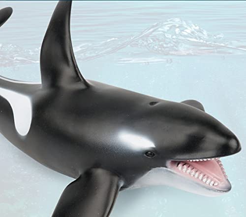 SmilerSmile killer whale for stage puppet use in classrooms