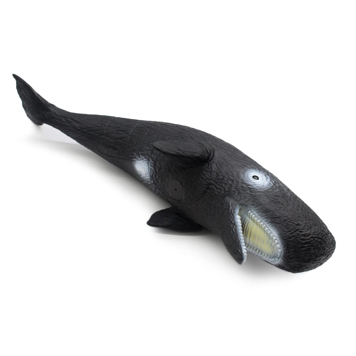 SmilerSmile Sperm Whale 15-inch size reference, impressive presence for classroom displays.