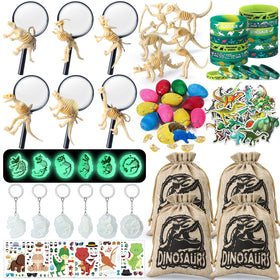 SNLN dinosaur party favors kit with a complete celebration set for kids.