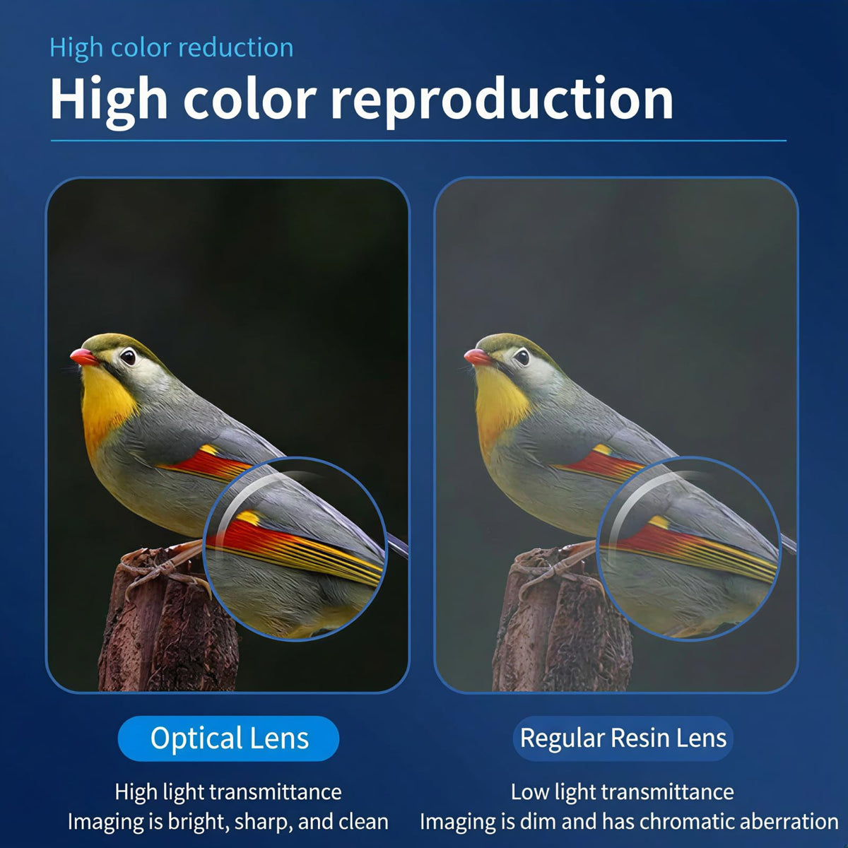Sobrzy includes two eyepieces for adjustable magnification levels.
