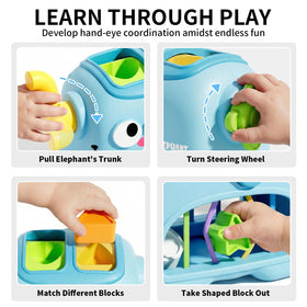 SOCBTNSO elephant sorter trunk manipulation supports fine motor skill practice.