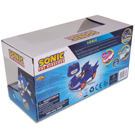 Sonic All-Stars RC highly detailed sculpted figure for collectors