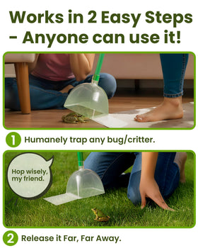 Sonic Technology Katcha wide-scoop bug catcher grabbing a cicada