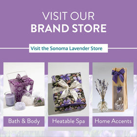 Sonoma Lavender soft snuggle pillow detail for daily use.