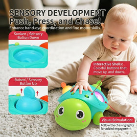 SOSUSHOE BPA-free materials ensure gentle, safe playtime