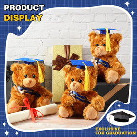 Sotiff blue graduation bear cap display, great memory token for events.