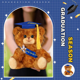 Sotiff 7-inch bear with diploma, cute gift for graduates.
