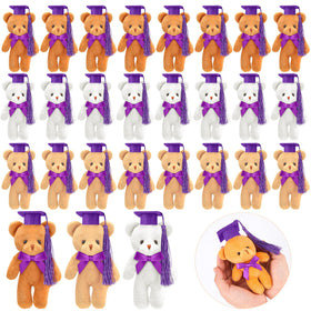 Sotiff mini graduation bear purple cap, charming bag charm and graduation keepsake.