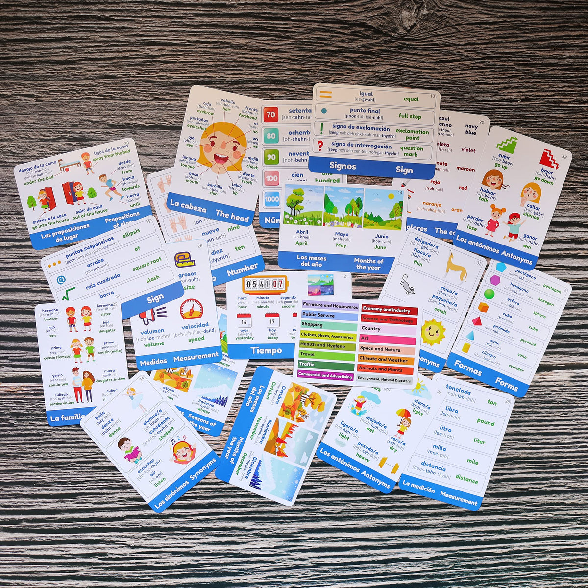 Spedemy bilingual illustrations support quick learning of Spanish and English