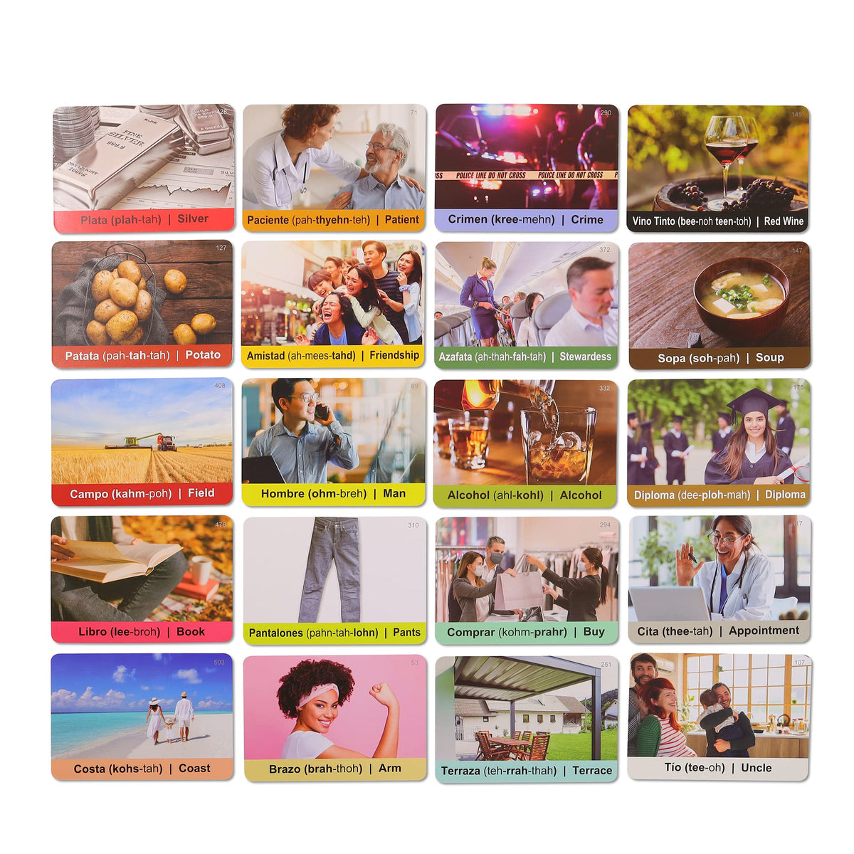 Spedemy cards inside pages show bilingual word pairs for reference