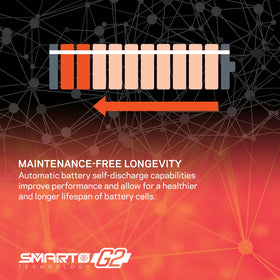 Spektrum internal microchip stores data for informed battery maintenance.