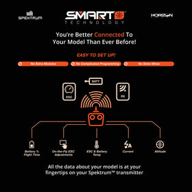 Spektrum label close-up reveals 2200mAh capacity and 4S configuration.