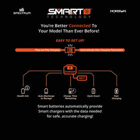 Spektrum data label icon hints battery history and smart monitoring benefits.