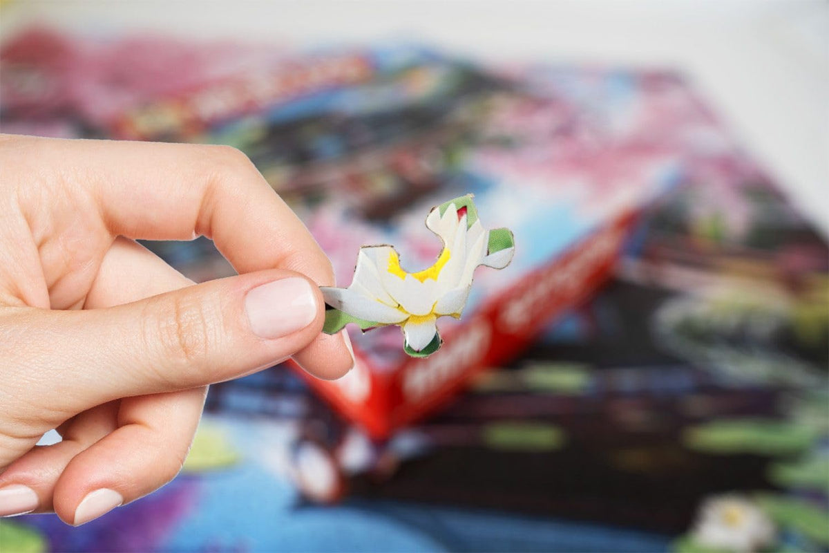 Springbok Haru in Japan precision-cut pieces for a unique challenge.