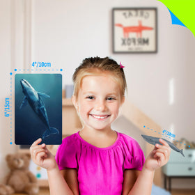 SpriteGru flashcards double-sided reinforce names and habitats during play.