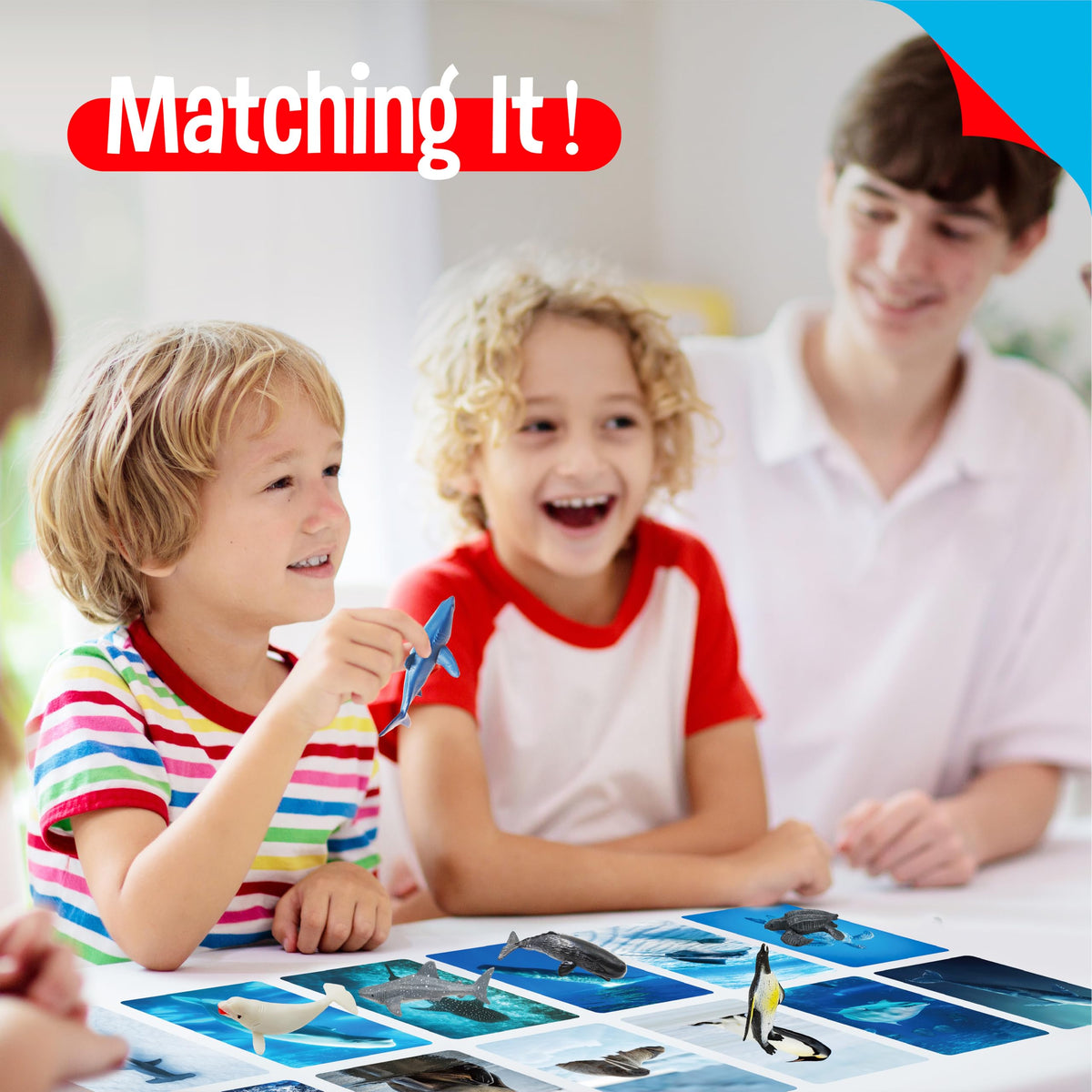 SpriteGru learning activities support categorization and storytelling at home.