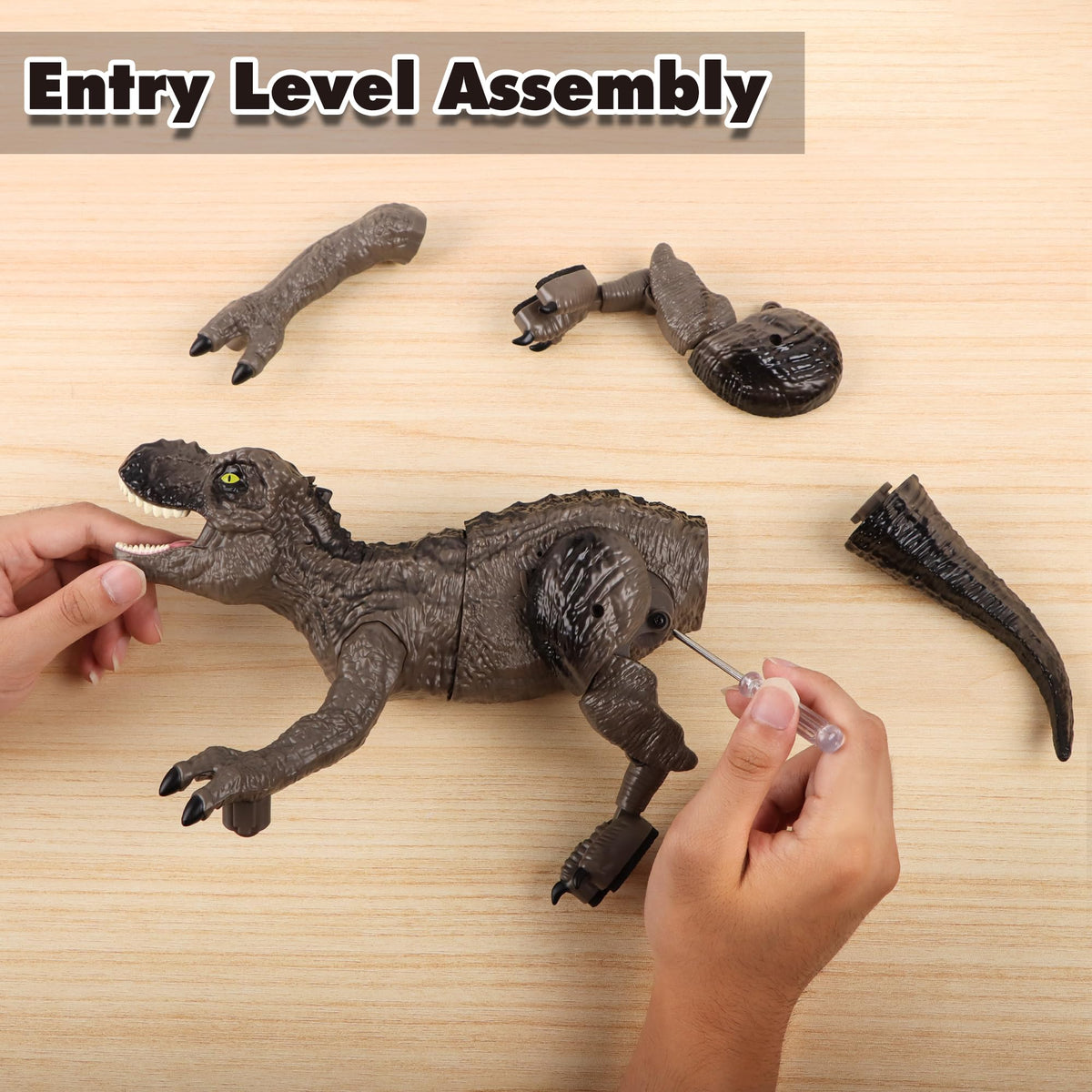 Safe, eco-friendly SPRSHY plastic keeps kids safe during explorations.
