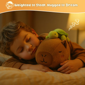 SQEQE weighted capybara with turtle backpack in gift-ready packaging.