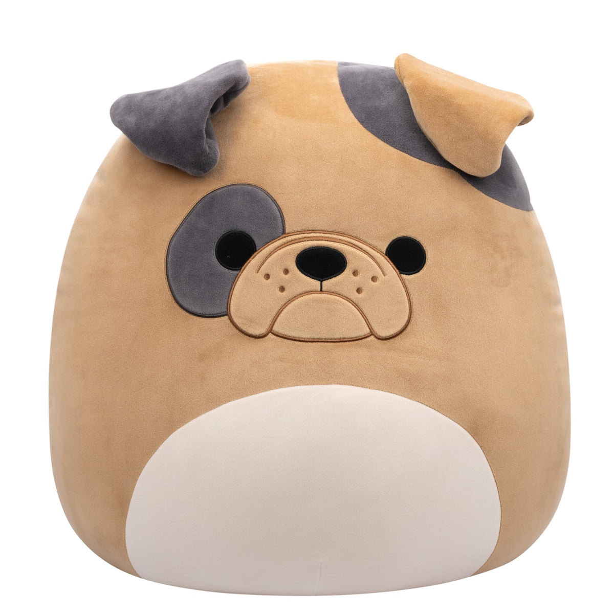 Squishmallows Loafer Brown Bulldog front view showing cuddly jumbo plush