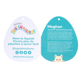 Squishmallows Meghan Cream Bat featuring fruit samples for playful storytelling