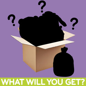 Squishmallows official box and tag, authentic licensed merchandise for collectors.